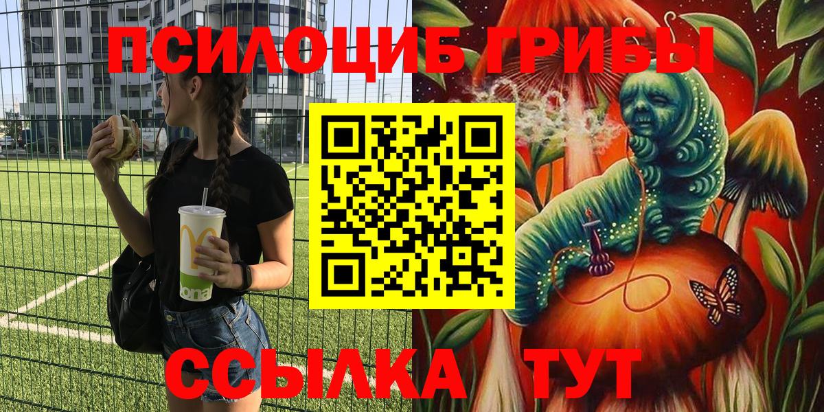 Псилоцибиновые грибы MAGIC MUSHROOMS  Вход с VPN  Тавда 